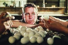 Thursday morning repeat links