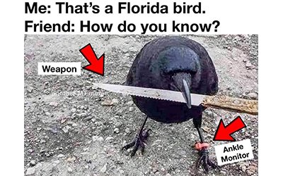 Monday Afternoon Links