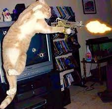 Monday Morning Links