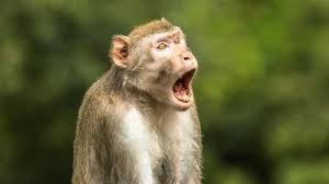 Friday Morning Links