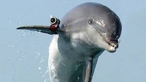 Tuesday Morning Links