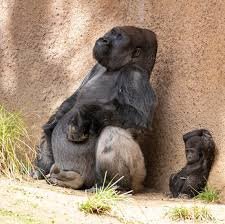 Tuesday Morning Links