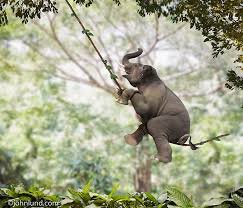 Monday Morning Links