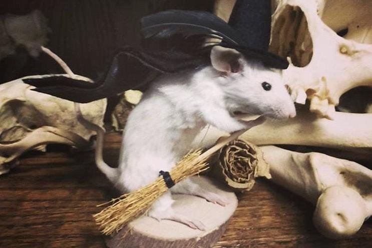 Monday Morning Links