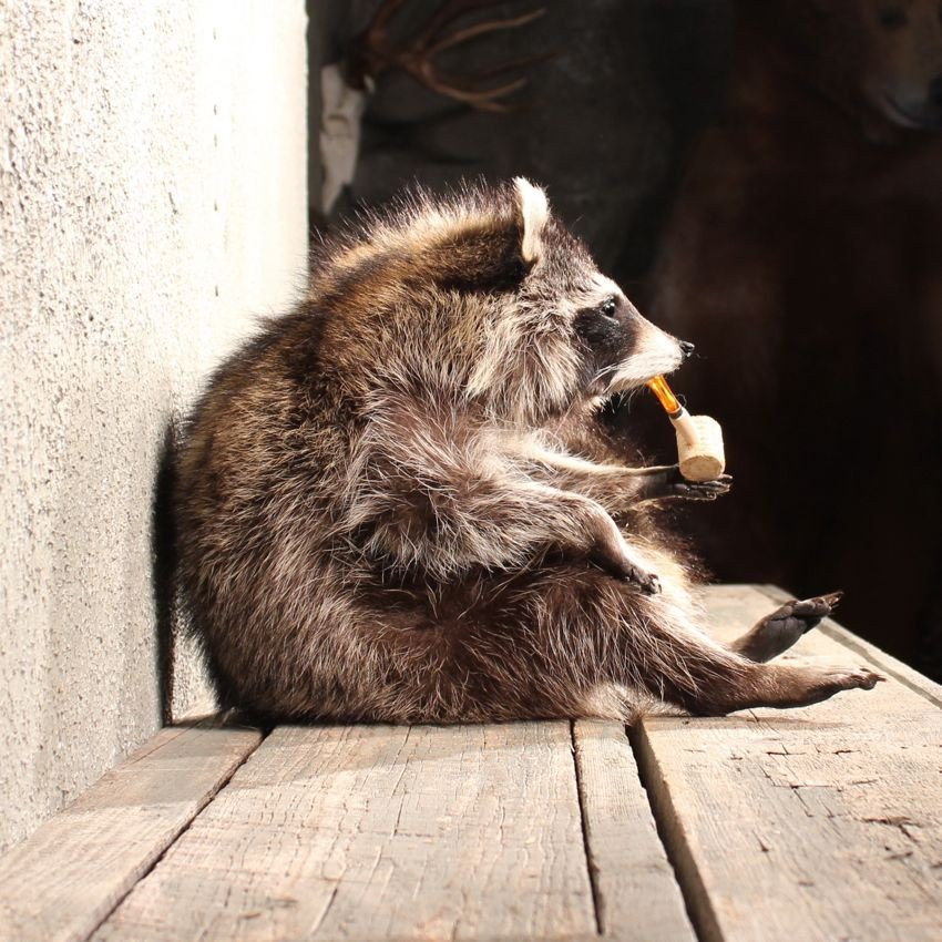 Friday Morning Links