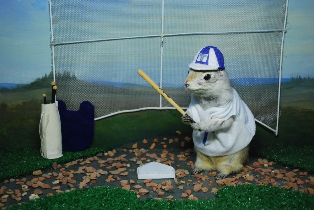 Wednesday Morning Links