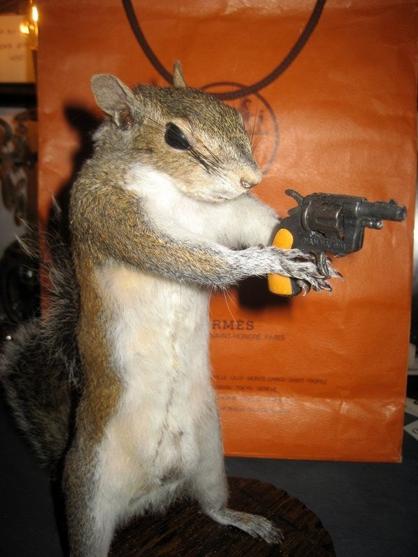 Tuesday Morning Links