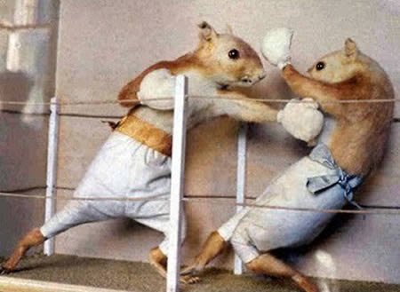 Friday Morning Links