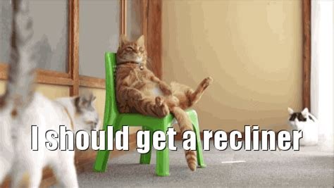 Lazy Saturday evening links