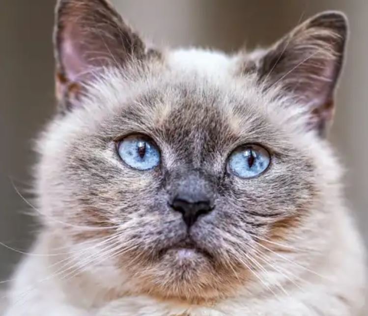 Friday Afternoon Links