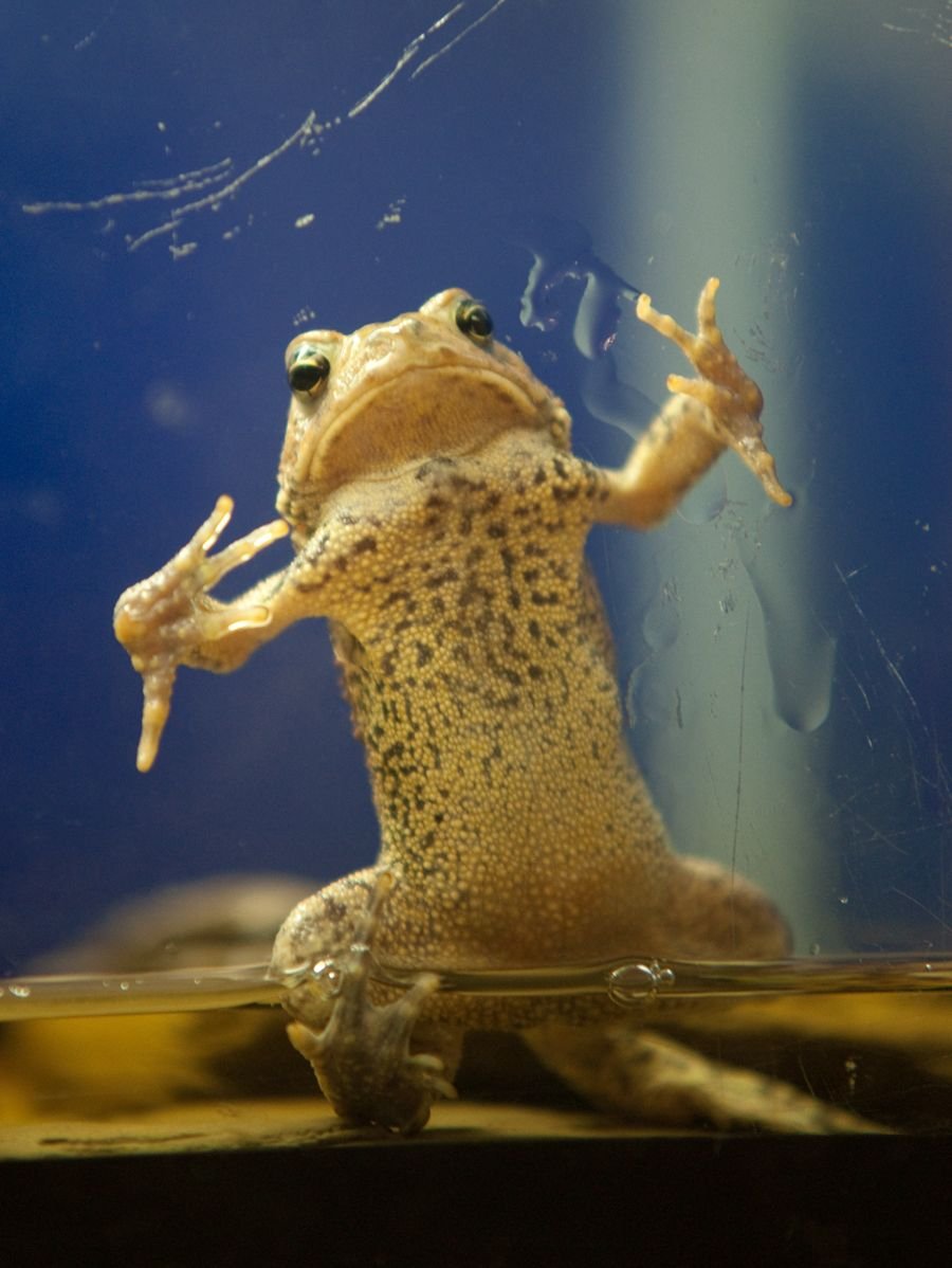 Friday Morning Links