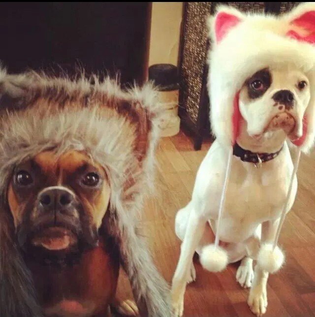 Tuesday Morning Links