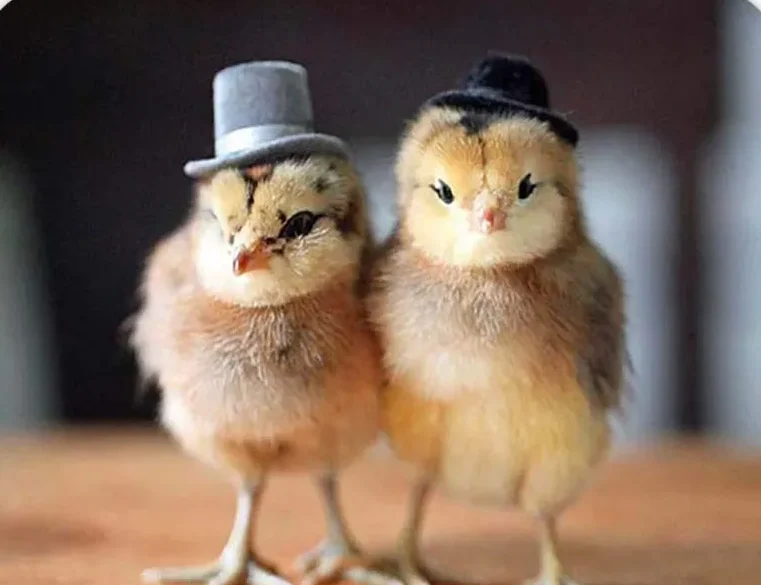 Monday Morning Links