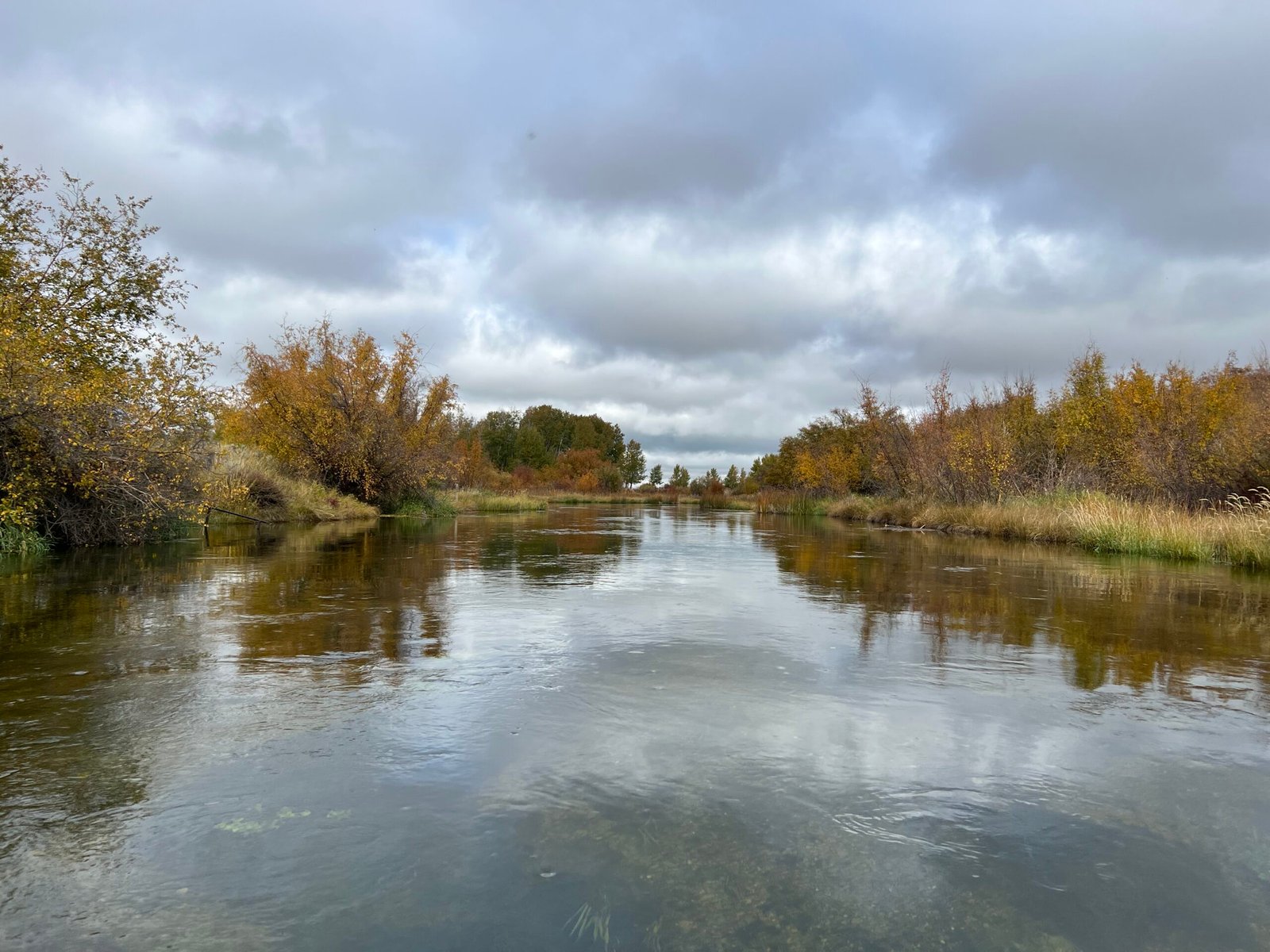 Saturday evening tight line links