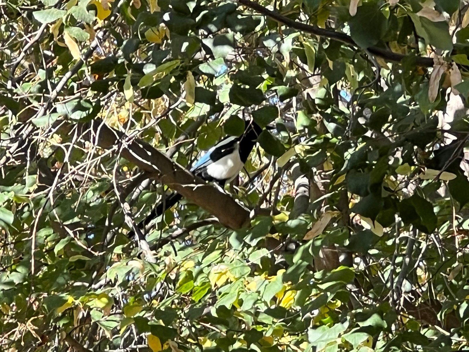 Links of a Saturday evening