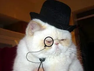 Thursday Morning Links