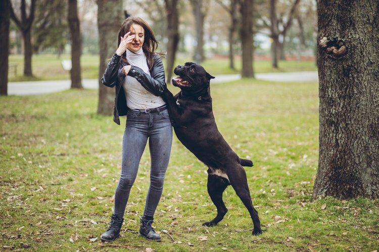 Saturday Morning Links of Injury