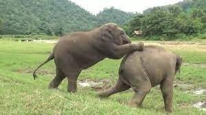 Thursday Morning Links