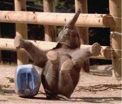 Tuesday Morning Links