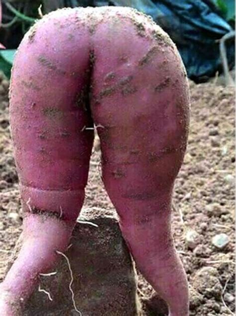 Saturday evening Spudable links