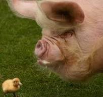 Tuesday Morning Links