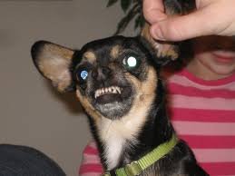 Tuesday Morning Links