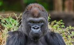 Thursday Morning Links