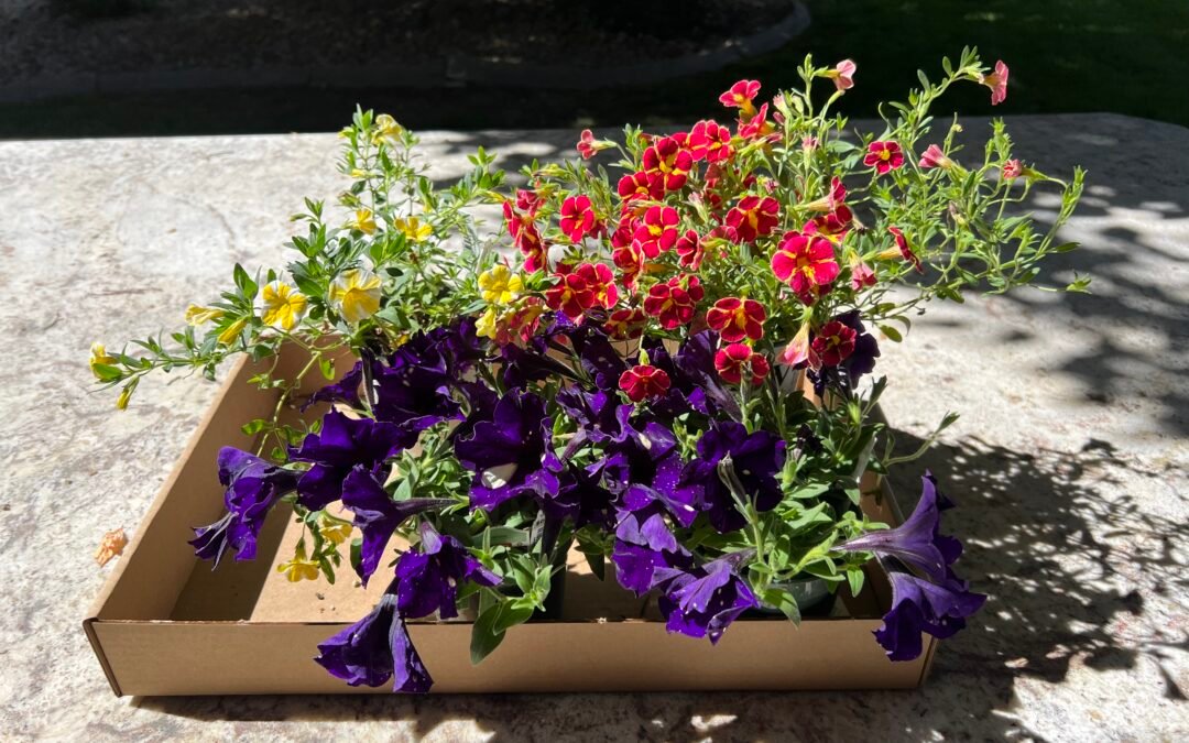 Saturday Evening Links