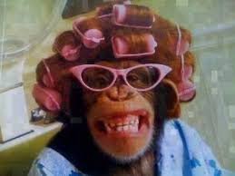 Tuesday Morning Links