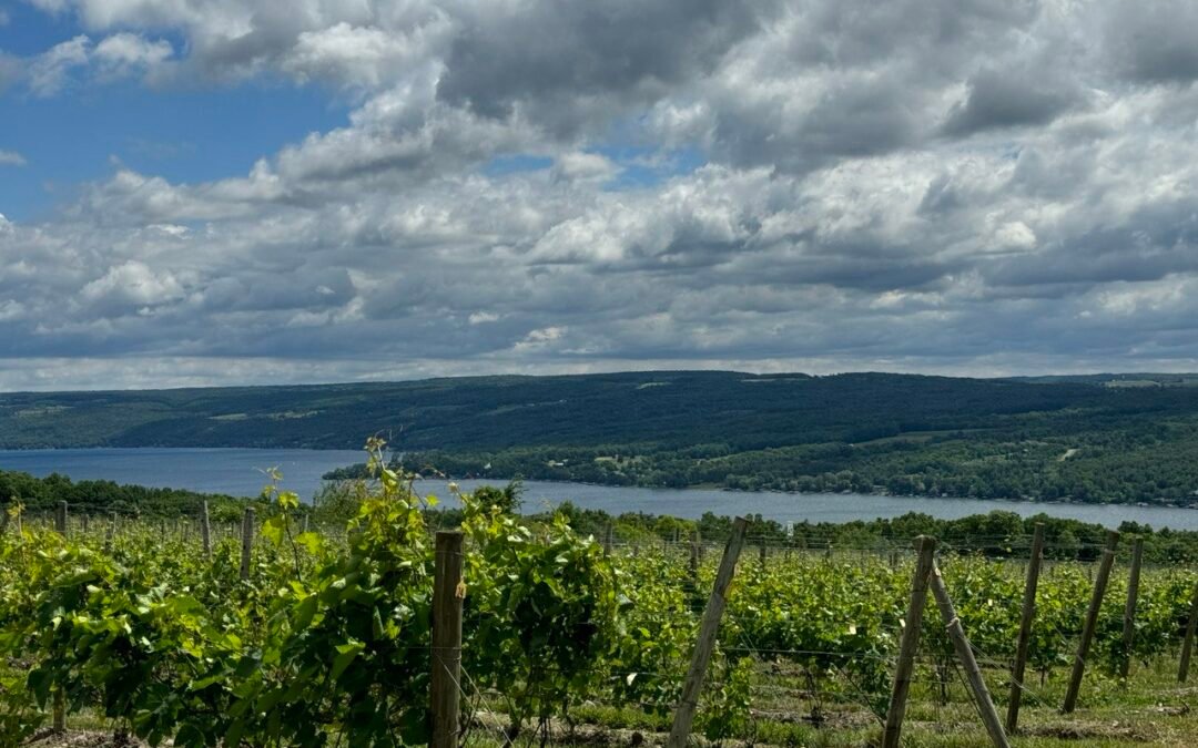 Sunday Morning Unwanted Excitement Links