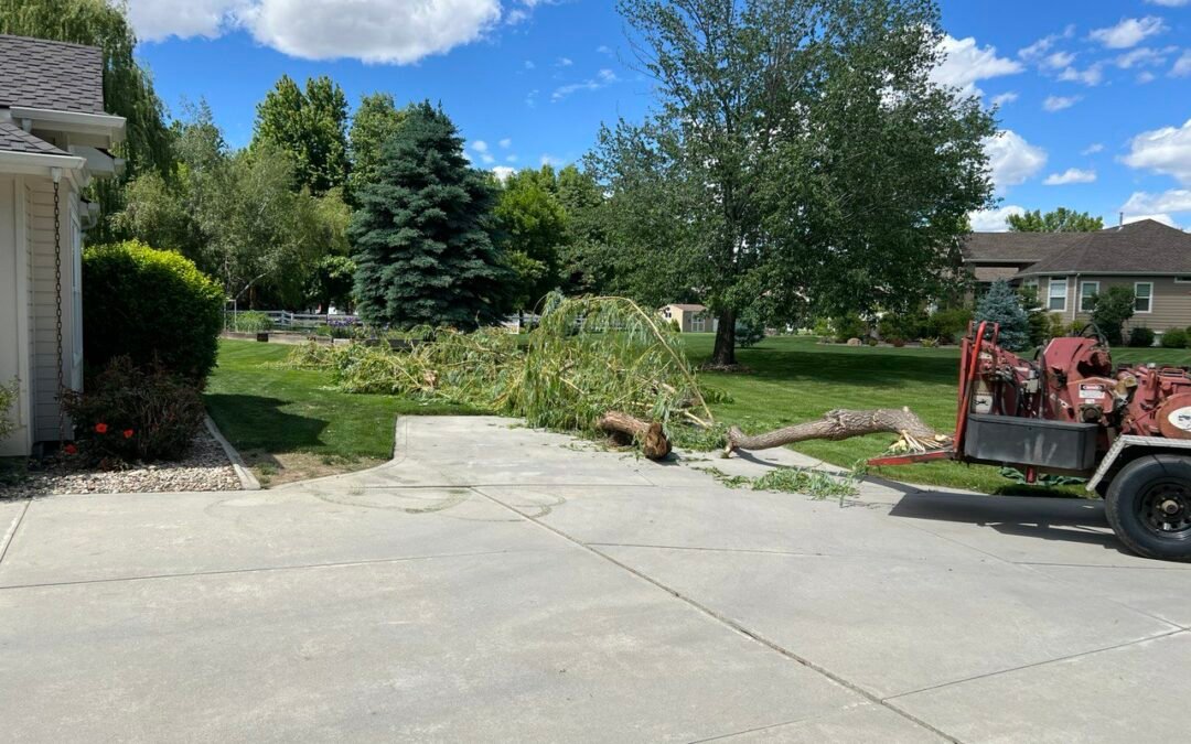 Saturday evening links