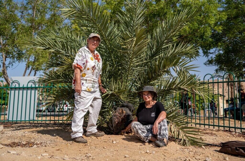 Saturday Morning Shidduch Links