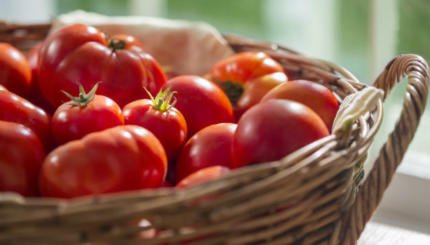 Saturday Morning Peak Summer Links