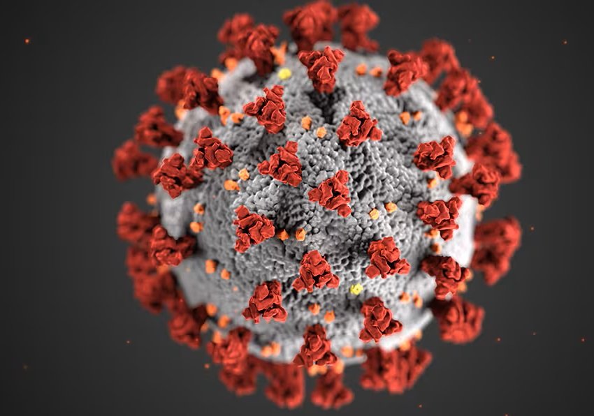 Saturday Morning Plague Links