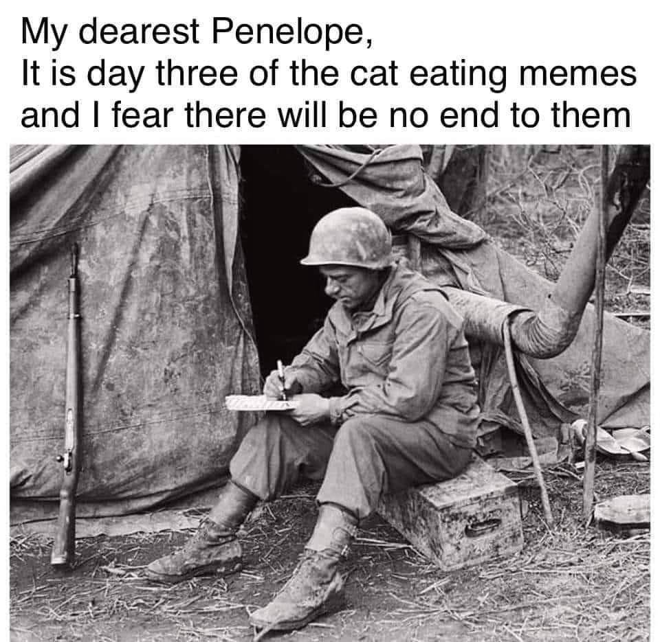 Saturday evening links