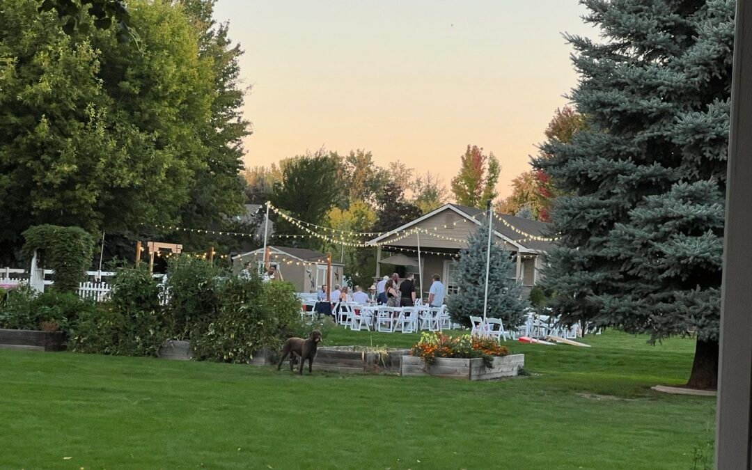 Saturday evening links