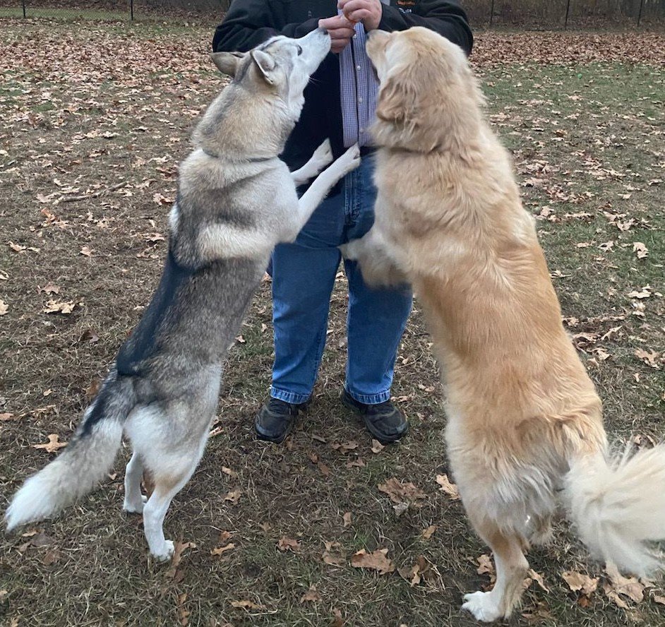 IFLA:  The “Silver and Gold” Edition of the Horoscope for the Week of December 1