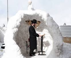 Sunday Morning Snow Day Links