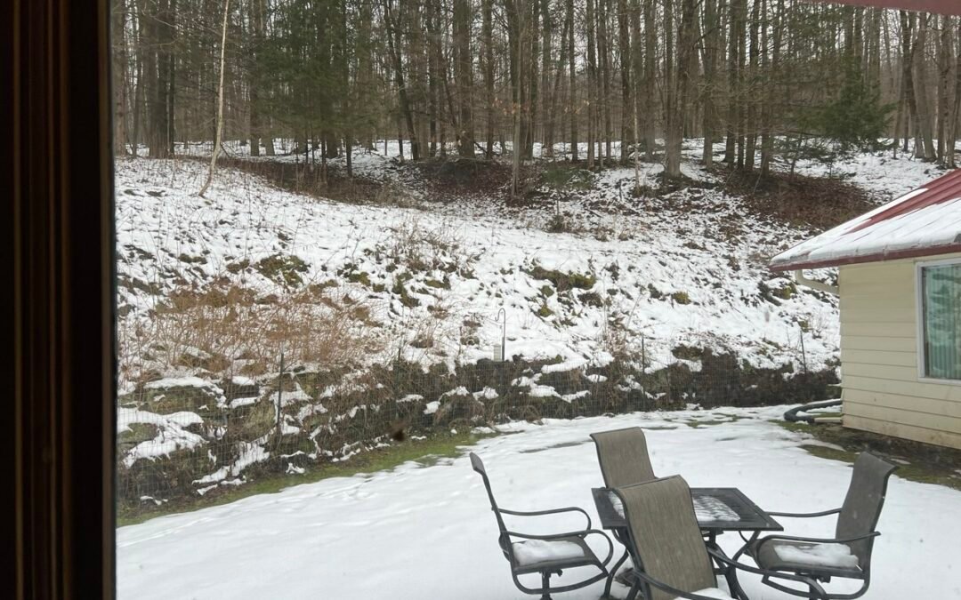 Saturday evening Links from the Gulch