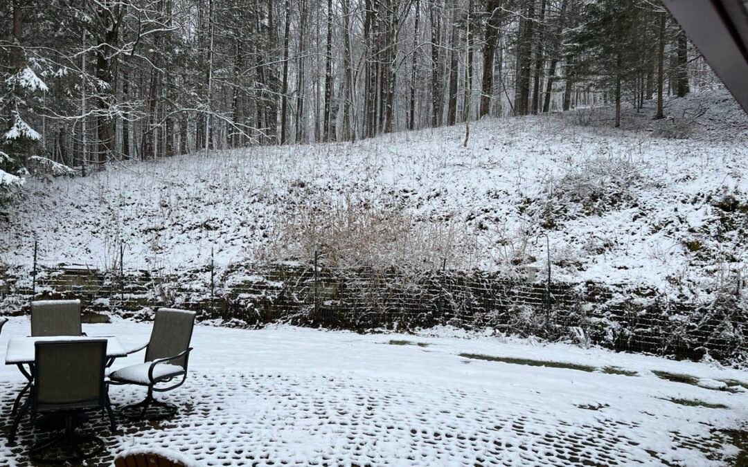 Saturday evening Links from the Gulch