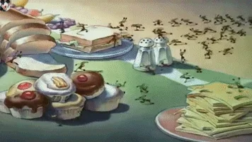 Tuesday Morning Links