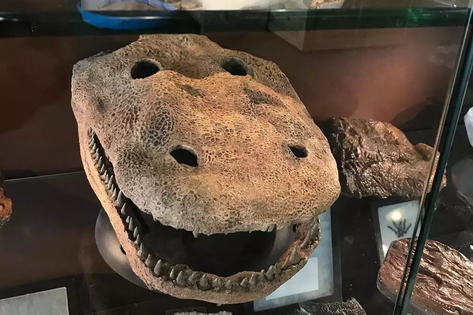 Wednesday Morning Links