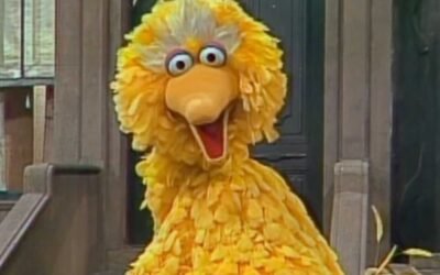 Requiem for Big Bird