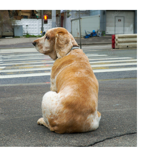 Belief for Thee, Not for Me