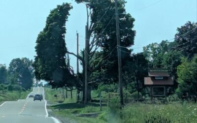 August Friday Afternoon Links the Second