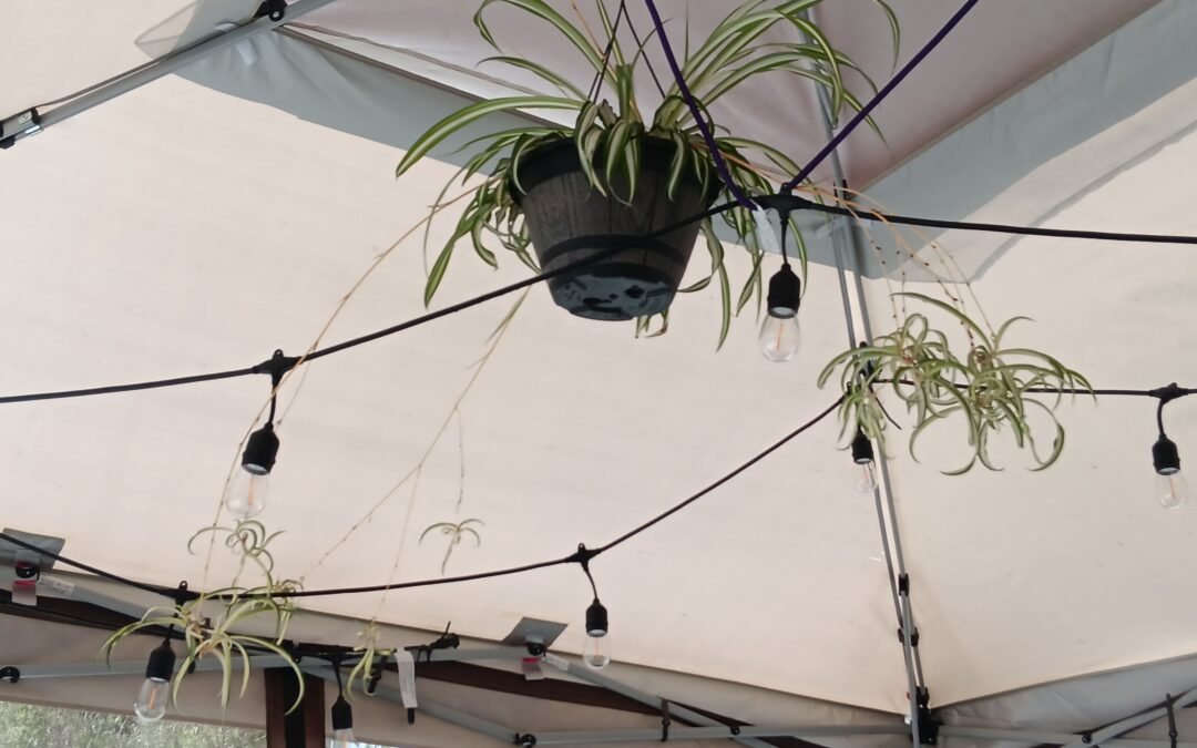 My favorite war movies, kinda sorta