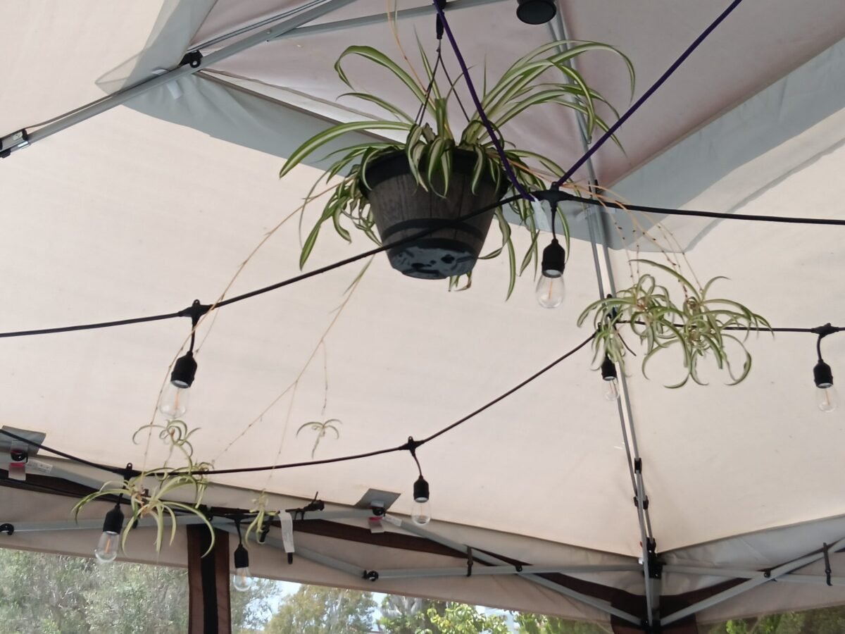 My favorite war movies, kinda sorta