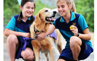 Random Thoughts IX – Catholic School Edition