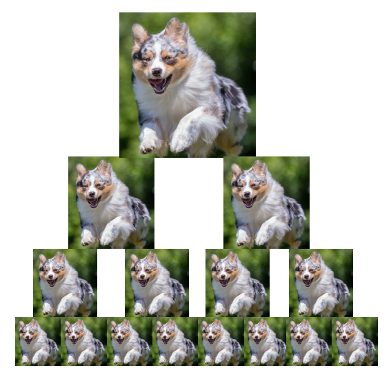 The Many Worlds of Quantum Mechanics