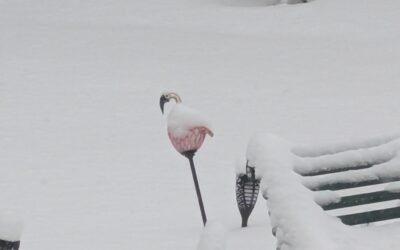 Frigid Friday Afternoon Links